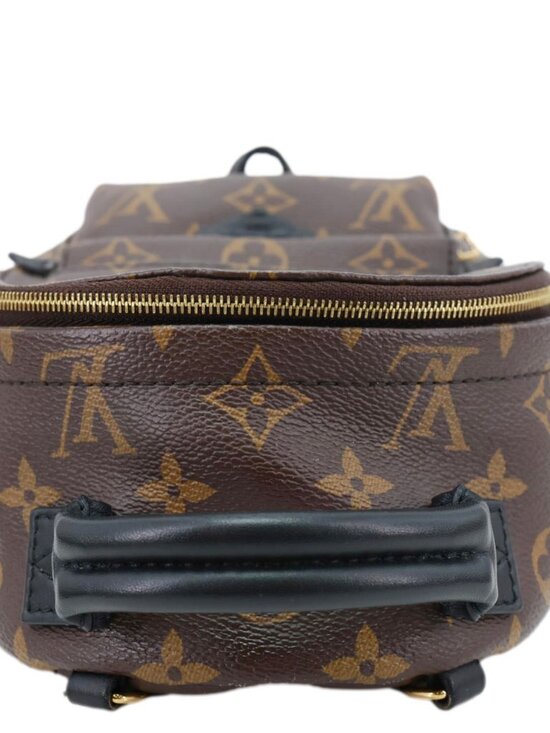 Louis Vuitton  Palm Spring Mini Monogram Canvas Backpack Brown main image 13